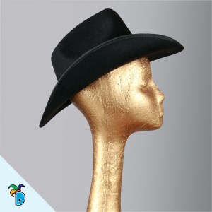Sombrero Texano Forrado